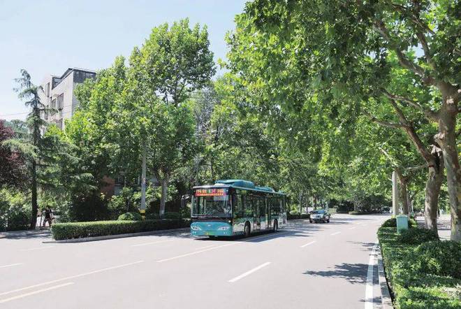 火狐电竞济南市中区推进园林绿化养护 提升城市颜值(图1)