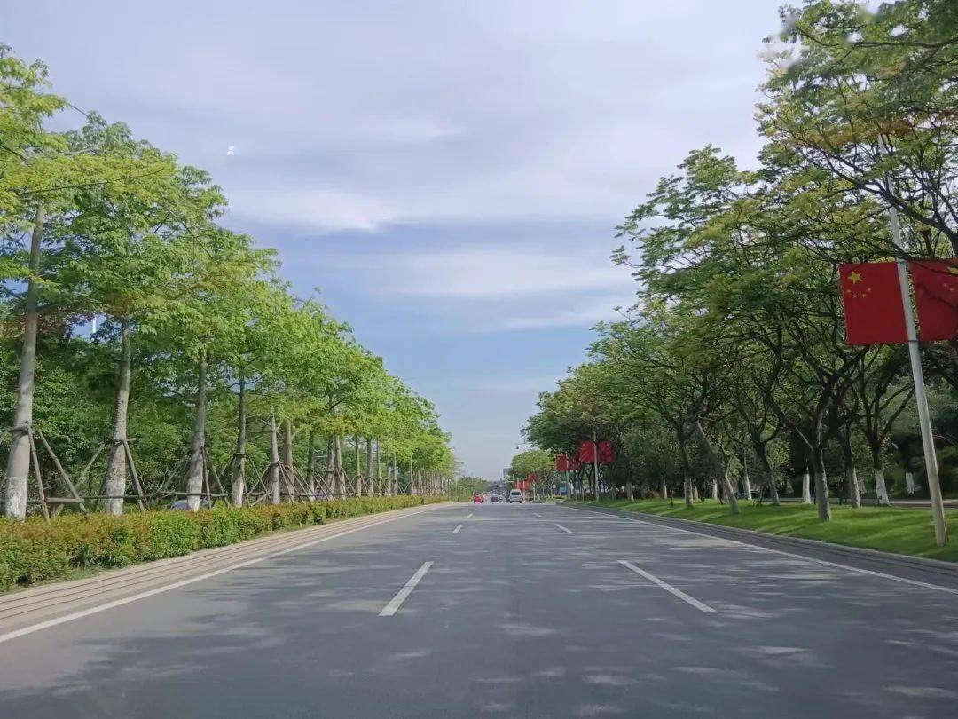 火狐电竞文明管养树标杆丨聚焦绿化补植一路绿景“加持”(图1)