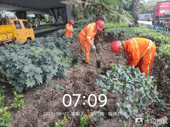 火狐电竞文明管养树标杆丨聚焦绿化补植一路绿景“加持”(图2)