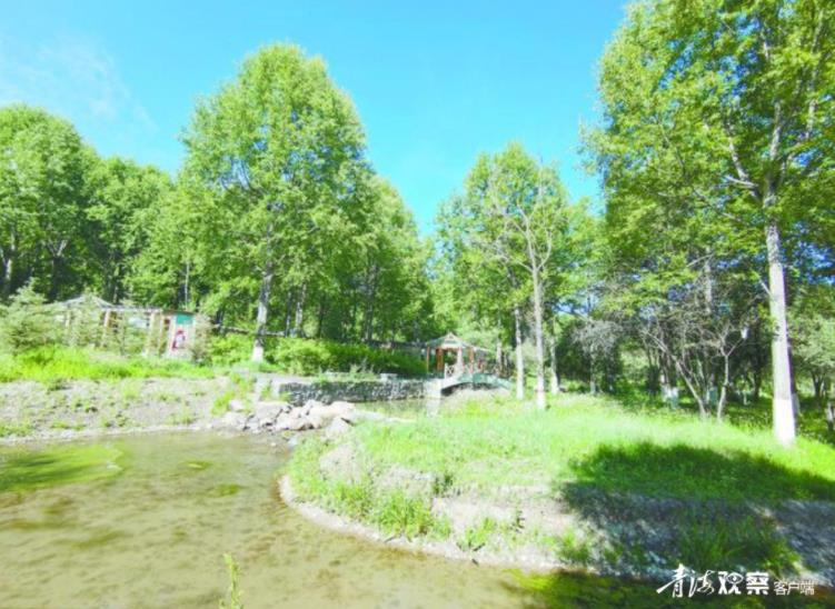 青海玉树：以绿火狐电竞化生态秀美提升颜值品质(图4)