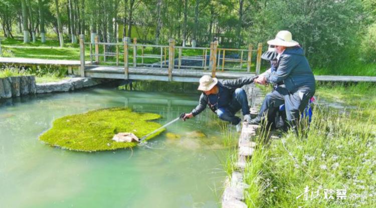 青海玉树：以绿火狐电竞化生态秀美提升颜值品质(图2)