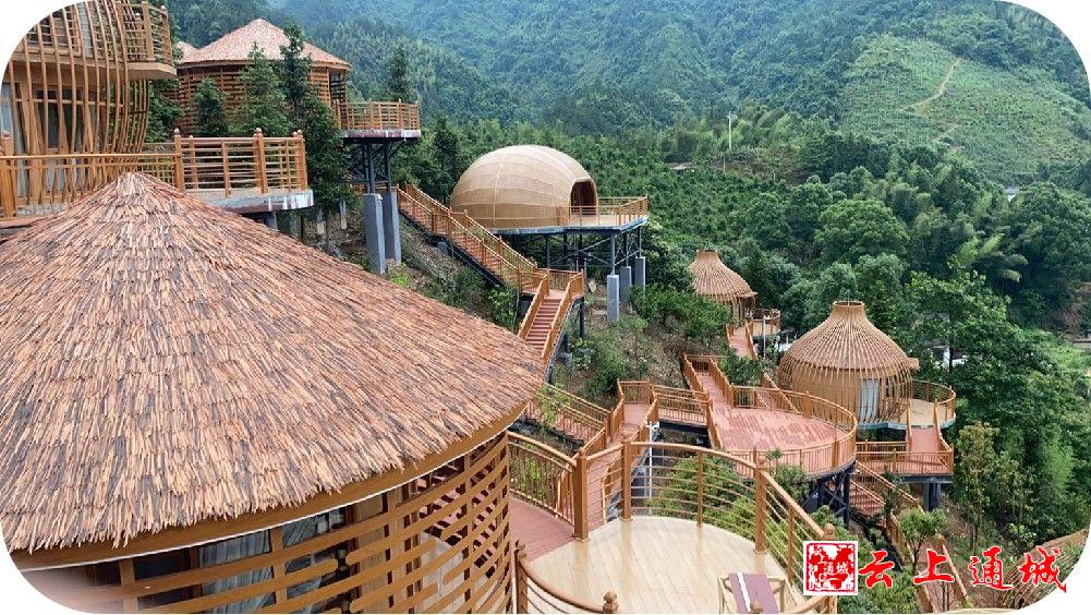 火狐电竞全国绿化劳动模范丨陈齐江：三十余载与林为伴 争当造林绿化“领头雁”(图4)