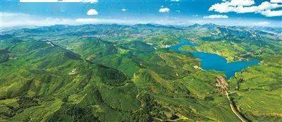 火狐电竞《中国绿色时报》头版头条聚焦：科学绿化试点示范山东如何破题？(图1)