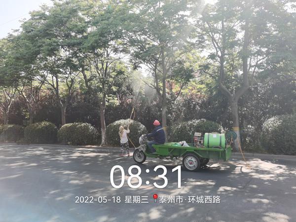 火狐电竞兴化城投绿化公司综合整治环城西路一线绿化(图1)