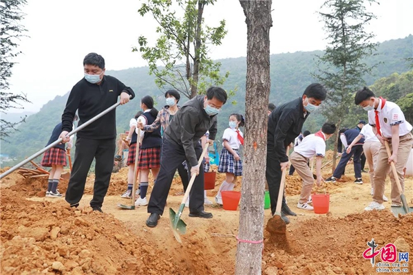 红河州启动“城乡绿化美化三年行动全民义务植树项目”和“国家森林城市”创建火狐电竞(图3)