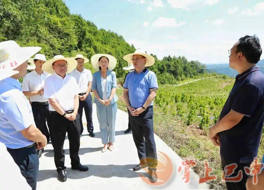 上周大事件 全国绿化劳动模范！巴中1人上火狐电竞榜(图1)