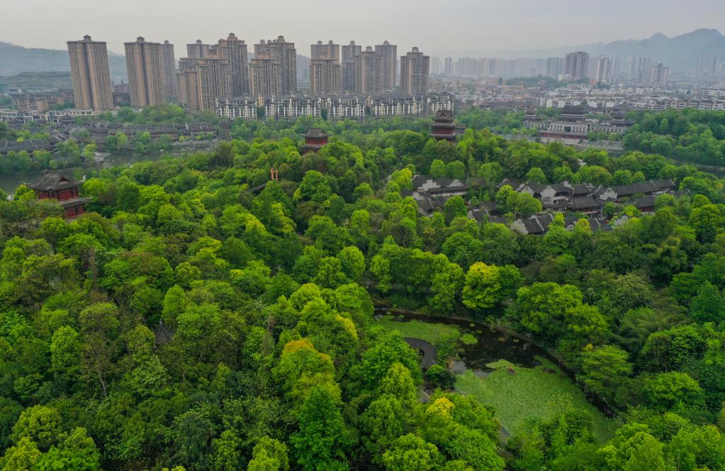 火狐电竞第一观察丨十年植树赋予绿化新内涵(图1)
