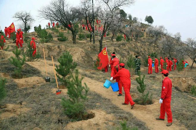 长庆唯一！采油二厂火狐电竞荣获“全国绿化先进集体”荣誉称号(图6)