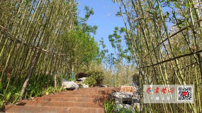 火狐电竞喜讯！十堰展园获湖北省第三届（荆门）园林博览会设计金奖(图1)