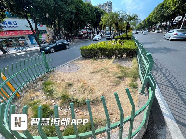 太危险！福州一绿化带围栏缺失众多市民横穿马路！部门：马上核实处理火狐电竞(图2)