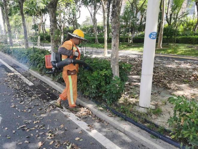 火狐电竞落叶清扫行动让绿化带更干净(图1)