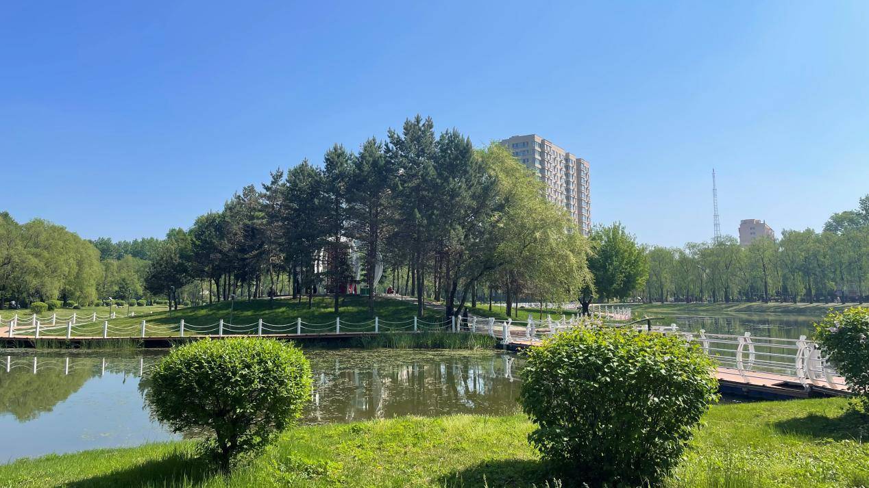 火狐电竞铁力市林业和草原局荣获“全国绿化先进集体”荣誉称号(图3)