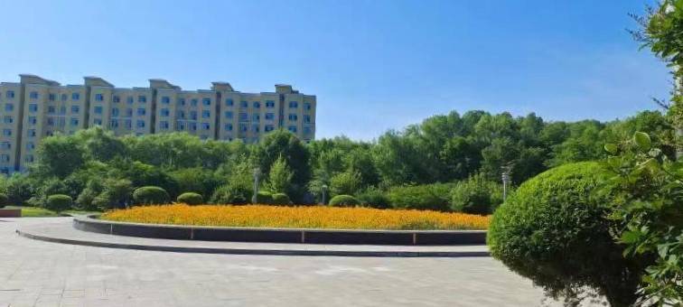 火狐电竞铁力市林业和草原局荣获“全国绿化先进集体”荣誉称号(图2)