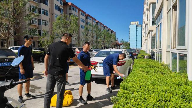 火狐电竞平谷绿化带惊现马蜂窝！(图1)