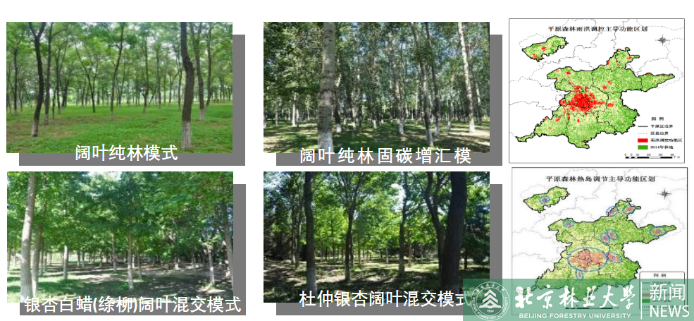 林学院荣火狐电竞获全国绿化先进集体(图3)
