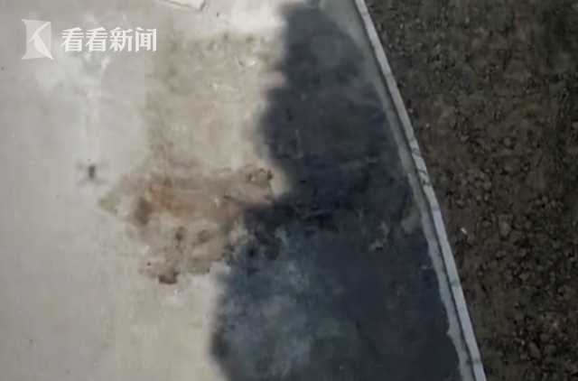火狐电竞视频｜森林氧吧为何变成“祭祀焚场”？(图1)