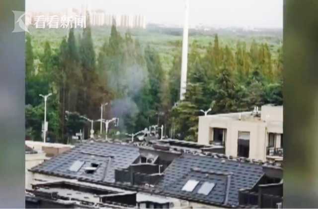 火狐电竞视频｜森林氧吧为何变成“祭祀焚场”？(图2)