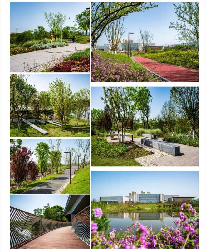 火狐电竞喜讯！重庆九龙滩、五云湖公园获国际景观设计大奖(图4)