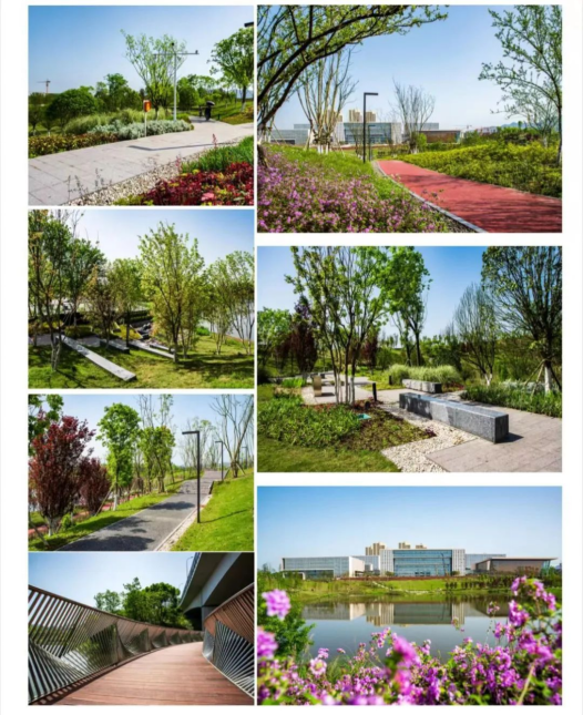 两江新区企业林同棪国际（中国）火狐电竞再获国际景观设计大奖！(图3)