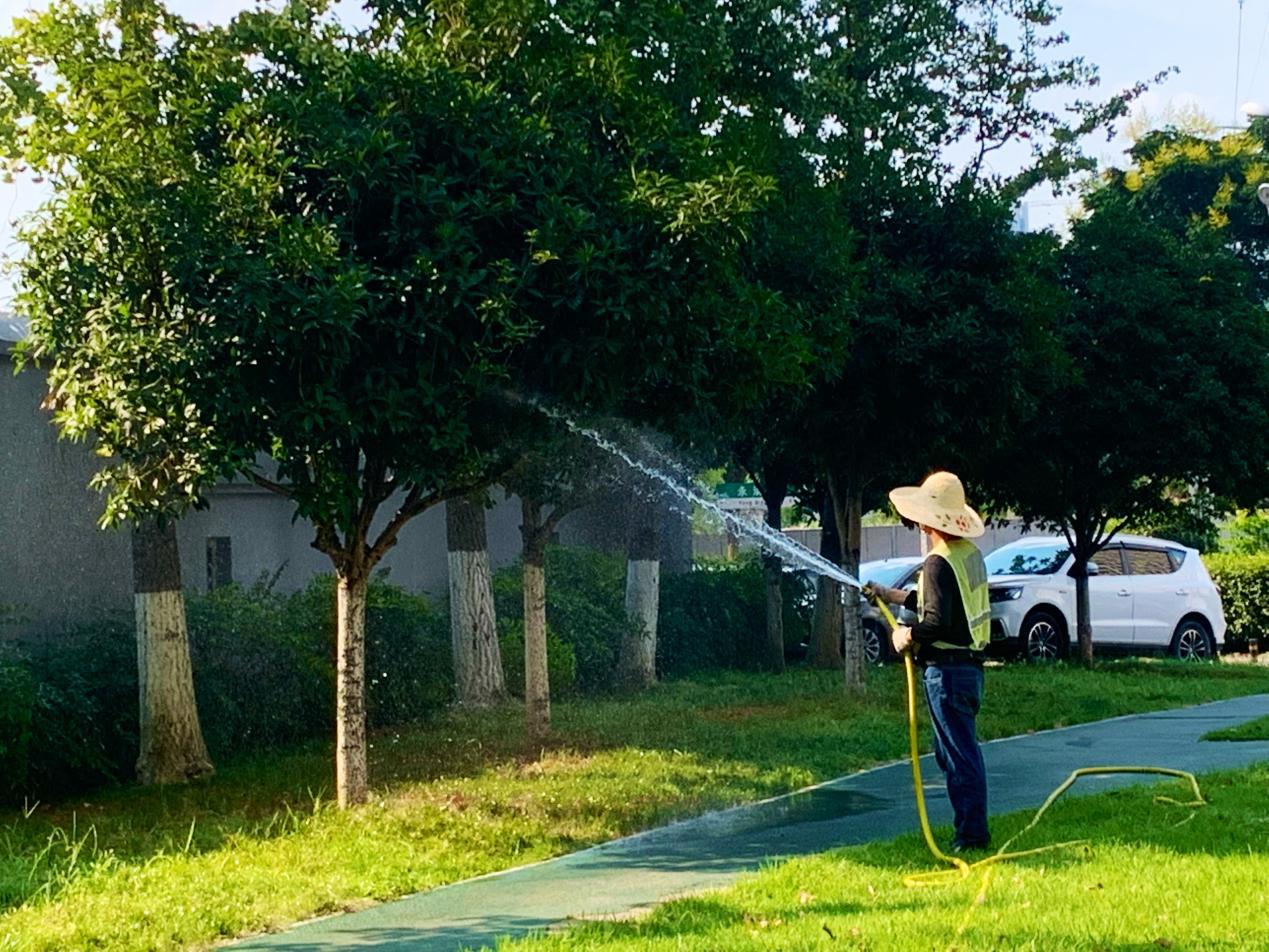 雨花区园林绿化维护中心：为绿植“解渴降温”火狐电竞(图2)