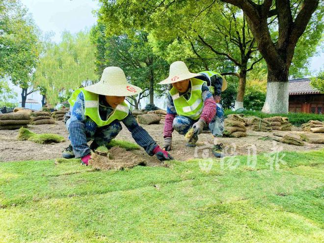 今夏富阳绿化养护“太忙了火狐电竞”！最近他们开启新工作(图1)
