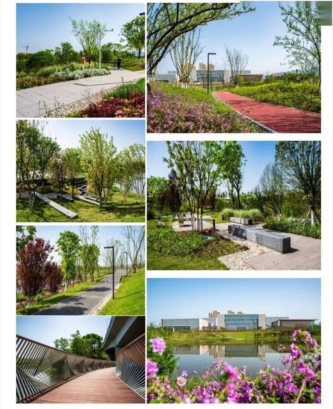 国际范再提升！五云湖公园夺得国际园林风景大奖！火狐电竞(图3)