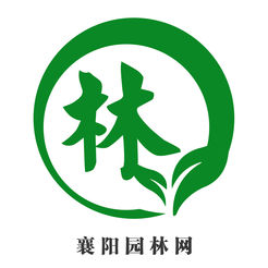 园林设计应用软火狐电竞件(图10)