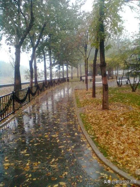 火狐电竞天气预报：今天白露是天晴好还是下雨好？前人留下的农谚有预兆(图2)