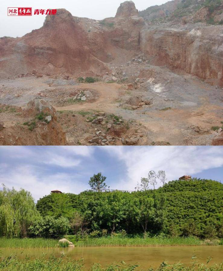 植树近2万株、绿化15万平！“85后”小伙扎根保定瀑河6年专注一件事……火狐电竞(图2)
