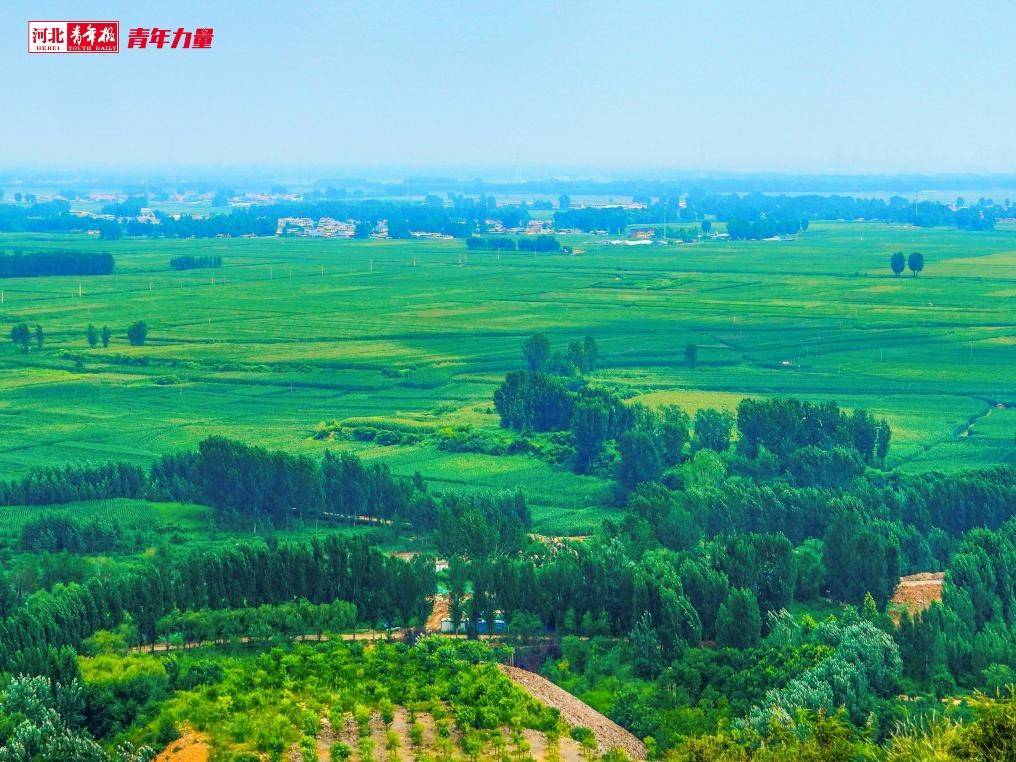 植树近2万株、绿化15万平！“85后”小伙扎根保定瀑河6年专注一件事……火狐电竞(图9)