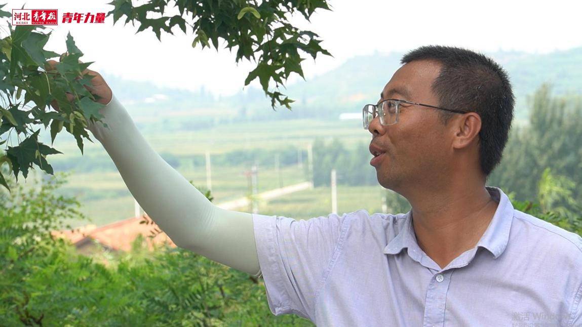 植树近2万株、绿化15万平！“85后”小伙扎根保定瀑河6年专注一件事……火狐电竞(图7)