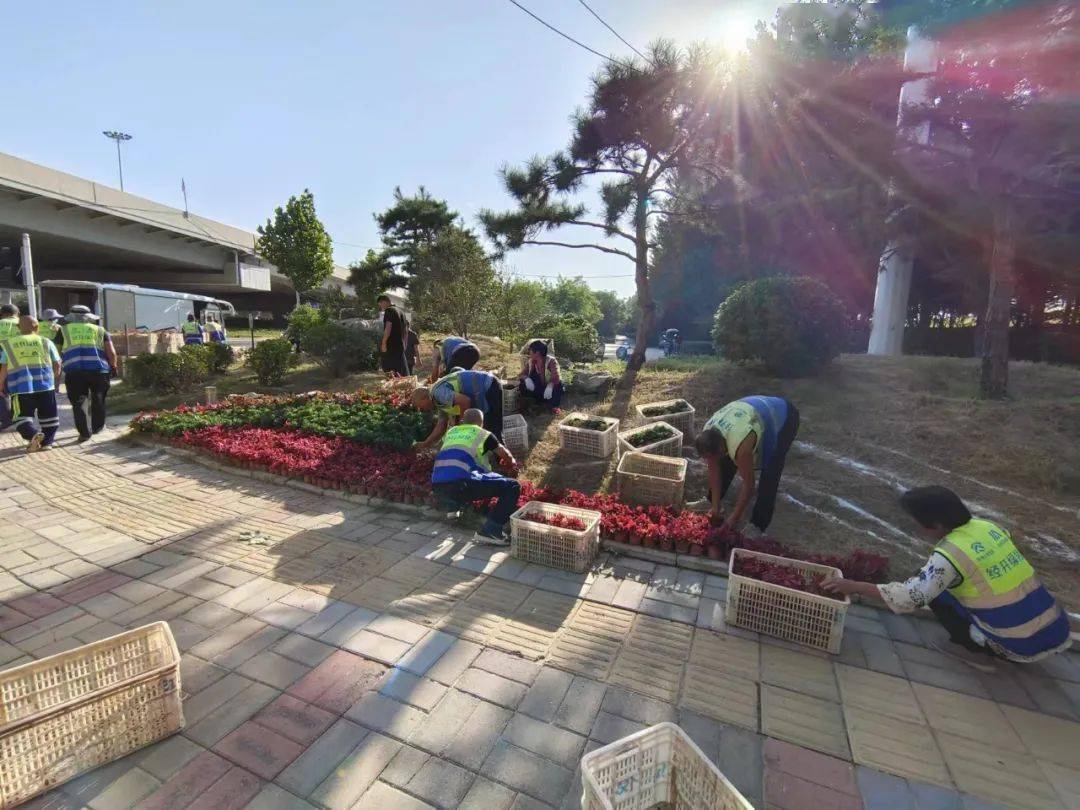 提升绿化水平 营造节日氛围 火狐电竞经开区全面开展绿化整治行动(图2)