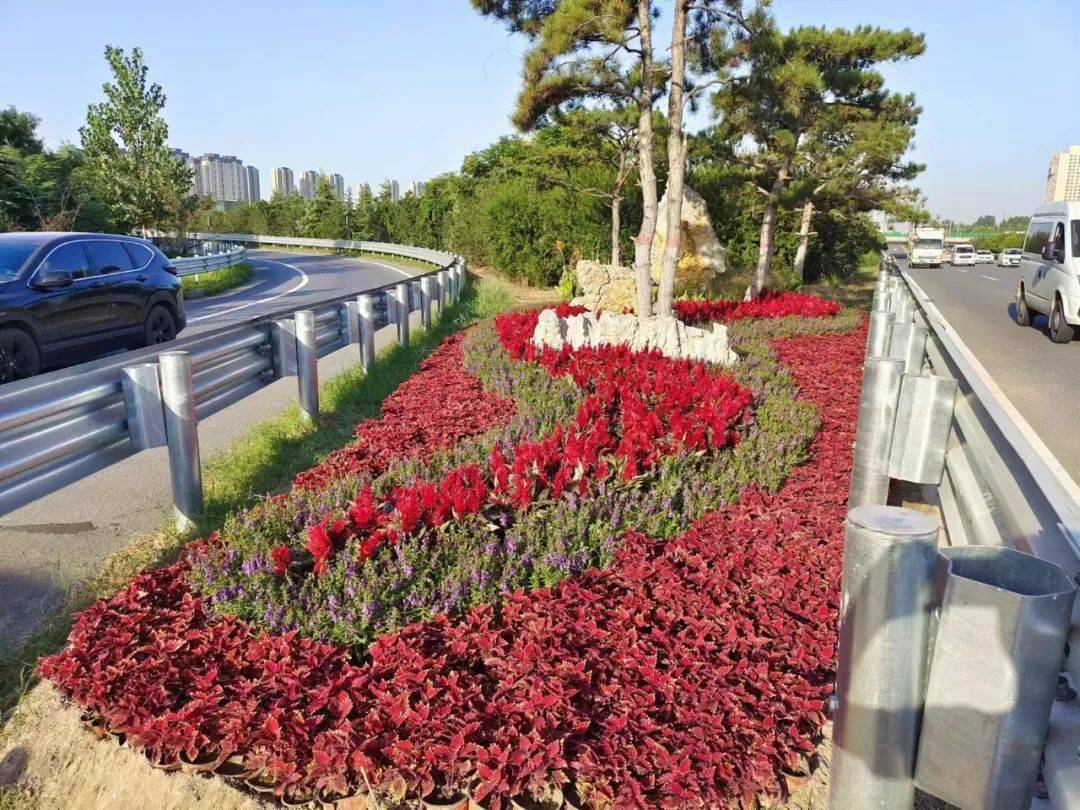 提升绿化水平 营造节日氛围 火狐电竞经开区全面开展绿化整治行动(图3)
