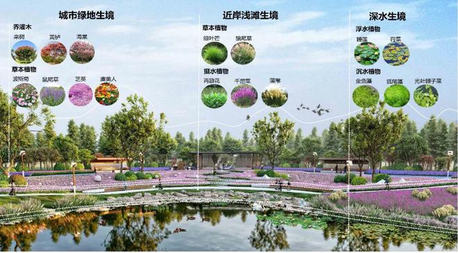 火狐电竞惊艳！四大未来场景！潍坊中央商务区公园景观设计！(图3)