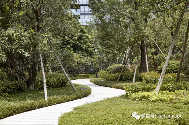深圳半亿级新天鹅堡新加坡建筑设火狐电竞计师手笔如何画龙点睛撑起豪宅格调(图5)