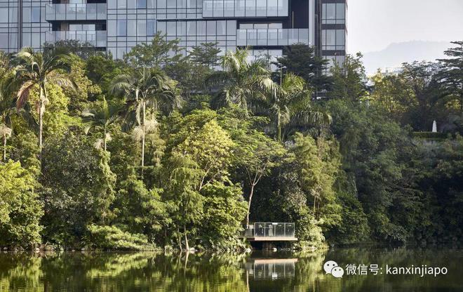 深圳半亿级新天鹅堡新加坡建筑设火狐电竞计师手笔如何画龙点睛撑起豪宅格调(图4)