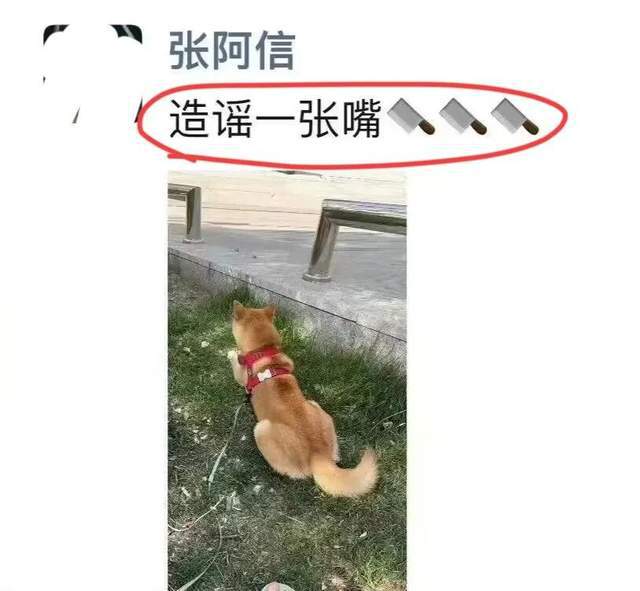 李易峰中秋晚会未发布画面火狐电竞曝光：参观苏州博物馆在园林深情凝望(图13)