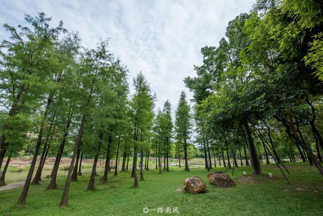 广州市区隐藏一座精美园林免费开放少火狐电竞人知道距离地铁站937米(图10)