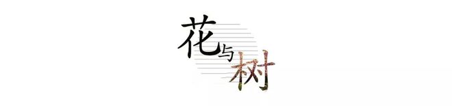 火狐电竞恒大天筑丨园林时间与自然的诗篇(图1)