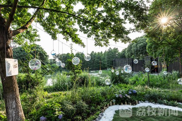 火狐电竞巧手妙思搭建的园林设计让这个初夏“透心凉”！(图2)