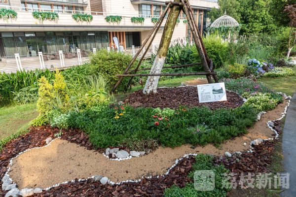 火狐电竞巧手妙思搭建的园林设计让这个初夏“透心凉”！(图7)