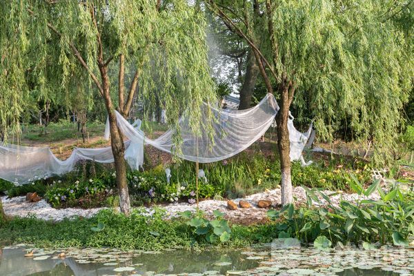 火狐电竞巧手妙思搭建的园林设计让这个初夏“透心凉”！(图8)