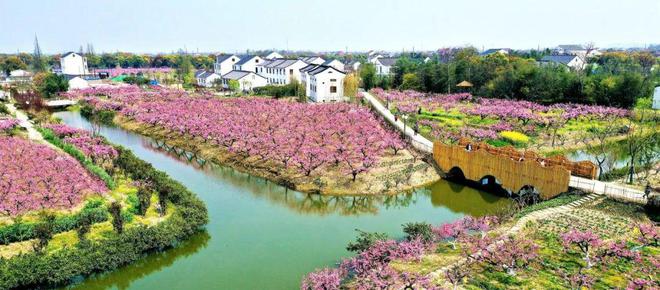 火狐电竞转型与机遇 乡村振兴三要点：激活乡村、保护文脉、尊重自然(图36)