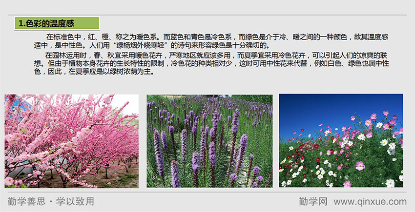 园林设计基本火狐电竞原理(图3)