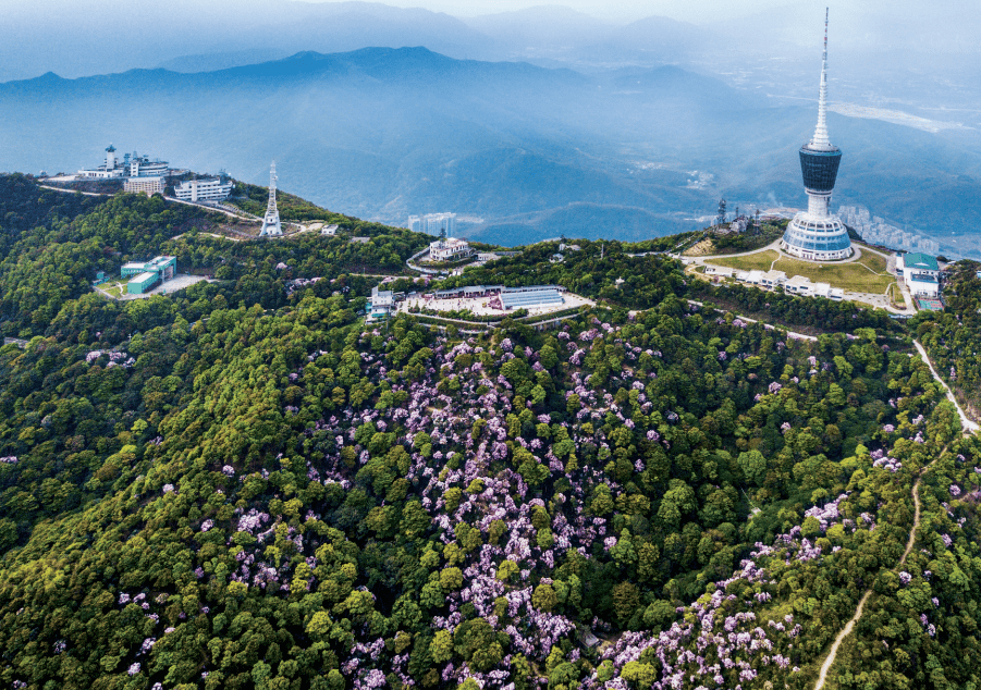 硕果累累 载誉前行 文科园林荣获5项广东省风景园林与生态景观协会科学火狐电竞技术奖（规划设计奖）(图3)