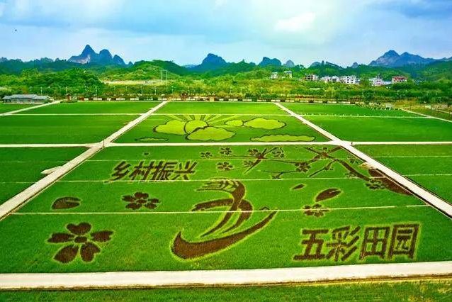 休闲农业还能这样玩？原来这才是现代农业该有的样子！火狐电竞(图4)