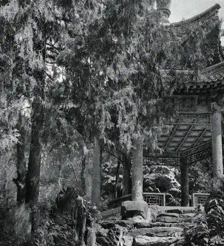 火狐电竞喜龙仁：中国园林——巧夺天工的艺术(图3)