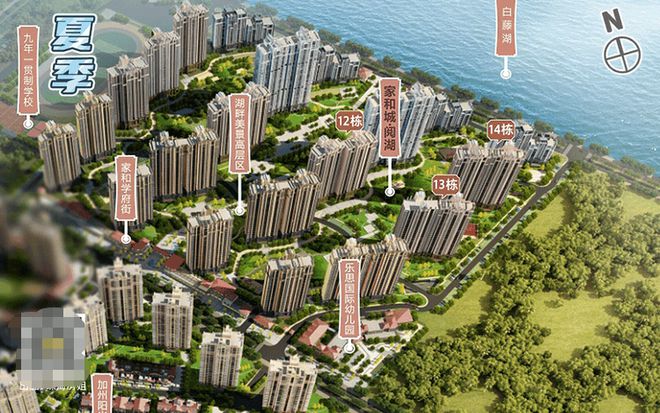 火狐电竞追赶金九不看这套置业方案我怕你亏哭！(图11)