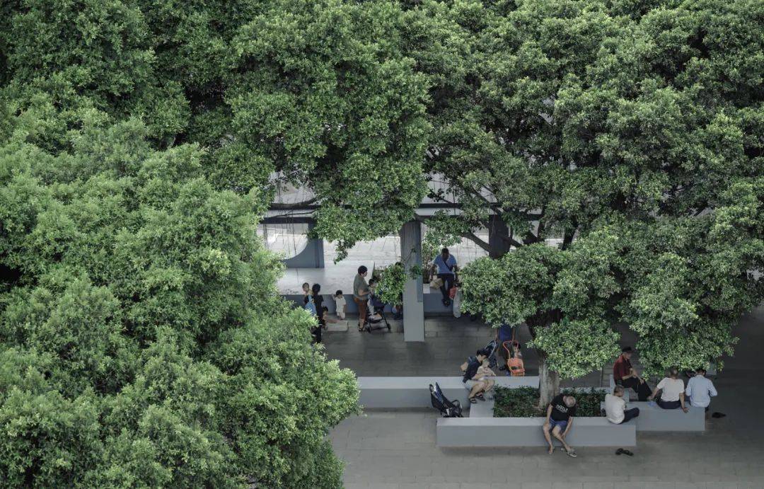 山水比德获2022年度广东省风景园林与生态景观协会科学技术奖火狐电竞(图4)
