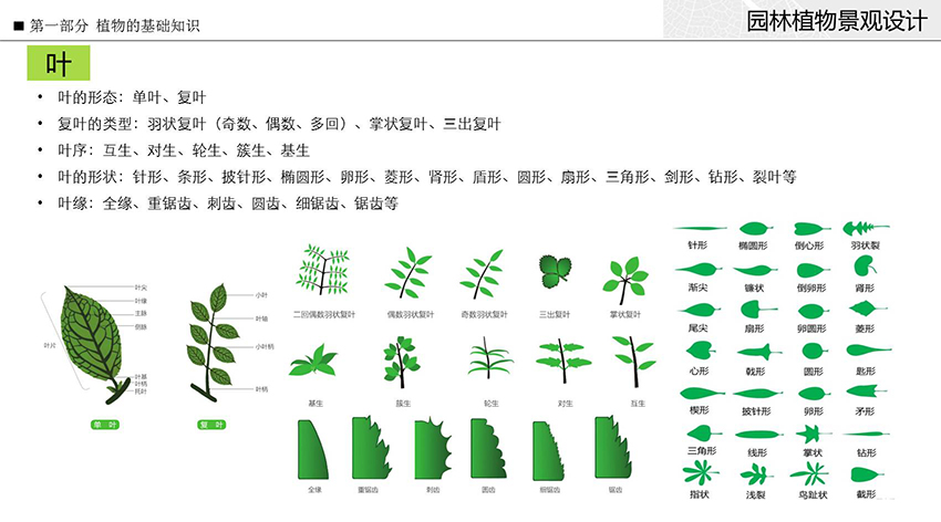 园林植物景观设计教程火狐电竞(图1)